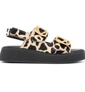 KOMIS & KOMIS ANATOMIC PLATFORMS C34
