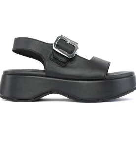 KOMIS & KOMIS ANATOMIC PLATFORMS C43