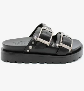 Buffalo Raya Ari Stud