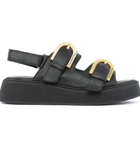 Komis & Komis ANATOMIC PLATFORMS C35