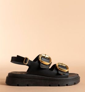 FLATFORMS 2080